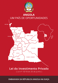 Lei do Investimento Privado